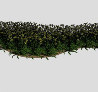 黄花开花植物丛SU模型下载_sketchup草图大师SKP模型
