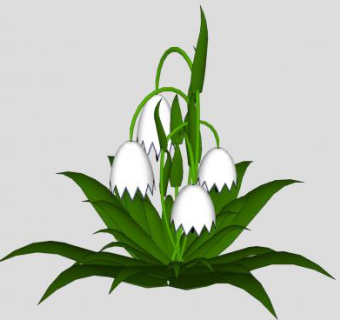 雪滴花植物SU模型下载_sketchup草图大师SKP模型