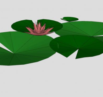 荷花荷叶植物SU模型下载_sketchup草图大师SKP模型