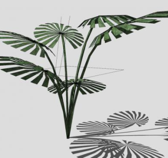 热带植物sketchup模型下载_sketchup草图大师SKP模型