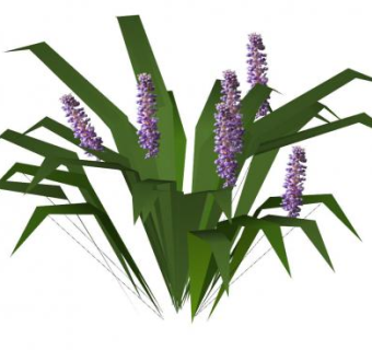 短葶山麦冬草SU模型下载_sketchup草图大师SKP模型