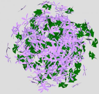 紫色地被植物SU模型下载_sketchup草图大师SKP模型