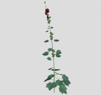 观赏植物SU模型下载_sketchup草图大师SKP模型
