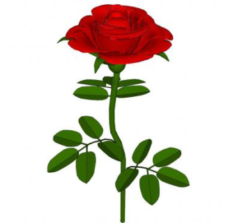一枝红玫瑰花sketchup模型下载_sketchup草图大师SKP模型