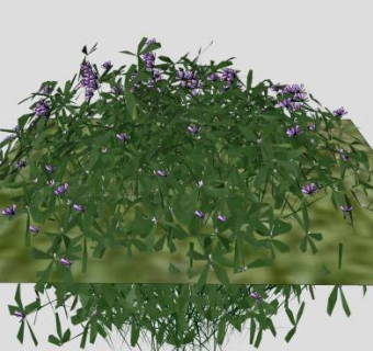 地被观赏植物sketchup模型下载_sketchup草图大师SKP模型