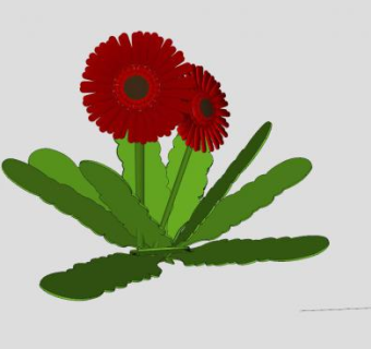 大红非洲菊植物SU模型下载_sketchup草图大师SKP模型