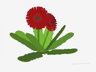 大红非洲菊植物SU模型下载_sketchup草图大师SKP模型