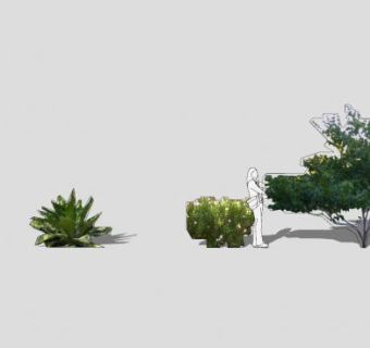 2D沙漠植物集SU模型下载_sketchup草图大师SKP模型