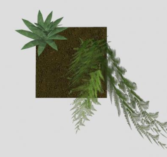 墙饰植物花架SU模型下载_sketchup草图大师SKP模型