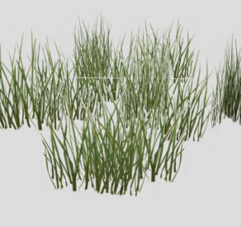 2D草丛SU模型下载_sketchup草图大师SKP模型