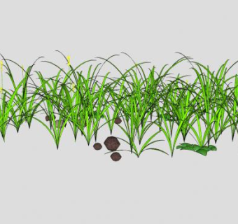 草和荨麻SU模型下载_sketchup草图大师SKP模型