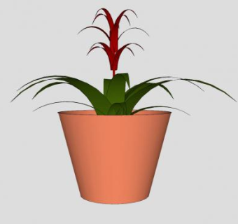 凤梨科植物盆栽sketchup模型下载_sketchup草图大师SKP模型