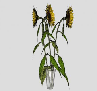 向日葵花瓶花卉SU模型下载_sketchup草图大师SKP模型