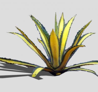 斑驳的龙舌兰SU模型下载_sketchup草图大师SKP模型