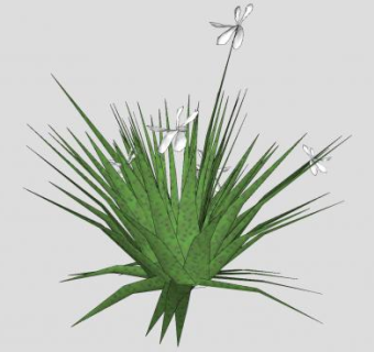 白花绿草植物SU模型下载_sketchup草图大师SKP模型