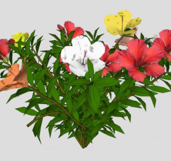 木槿花花种灌木SU模型下载_sketchup草图大师SKP模型