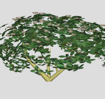 白色杜鹃花SU模型下载_sketchup草图大师SKP模型