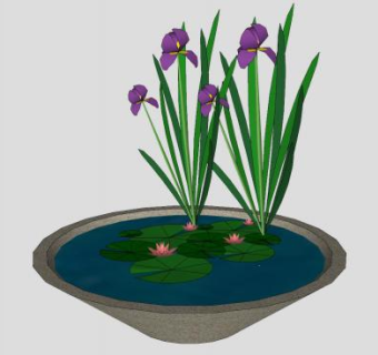 荷盆观赏盆栽SU模型下载_sketchup草图大师SKP模型