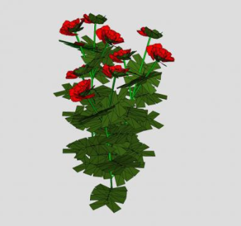 玫瑰观赏植物SU模型下载_sketchup草图大师SKP模型
