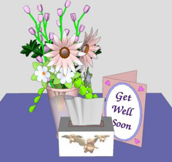 探病花束祝福语SU模型下载_sketchup草图大师SKP模型