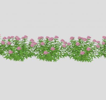 绣球花植物SU模型下载_sketchup草图大师SKP模型