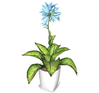 室内观赏植物SU模型下载_sketchup草图大师SKP模型
