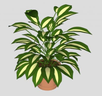 观赏盆栽植物SU模型下载_sketchup草图大师SKP模型