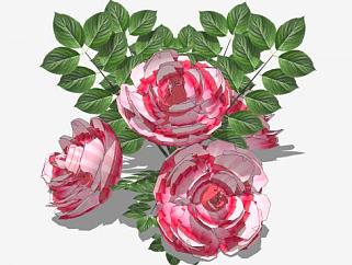 红玫瑰植物花卉SU模型下载_sketchup草图大师SKP模型