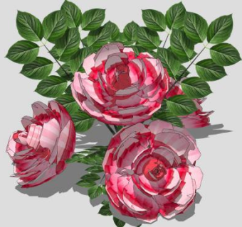红玫瑰植物花卉SU模型下载_sketchup草图大师SKP模型