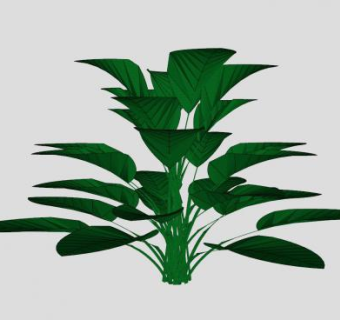 绿叶灌木sketchup模型下载_sketchup草图大师SKP模型
