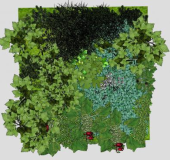 观赏观叶植物墙SU模型下载_sketchup草图大师SKP模型
