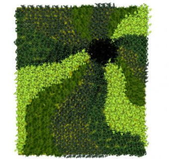 排布的绿植墙SU模型下载_sketchup草图大师SKP模型