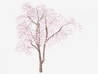 樱花树中式庭院小品SU模型下载_sketchup草图大师SKP模型