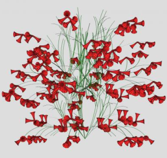 炮仗竹植物SU模型下载_sketchup草图大师SKP模型