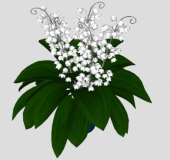 室内观赏开花植物SU模型下载_sketchup草图大师SKP模型