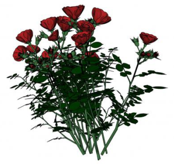 多枝红玫瑰SU模型下载_sketchup草图大师SKP模型