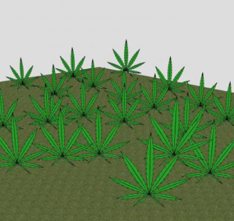 杂草农场SU模型下载_sketchup草图大师SKP模型
