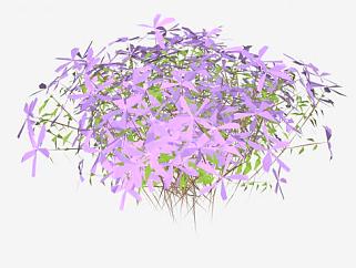 <em>紫色</em>花地被植物SU模型下载_sketchup草图大师SKP模型