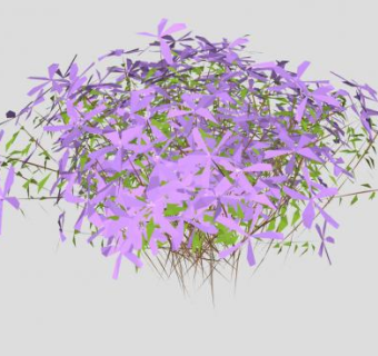 紫色花地被植物SU模型下载_sketchup草图大师SKP模型