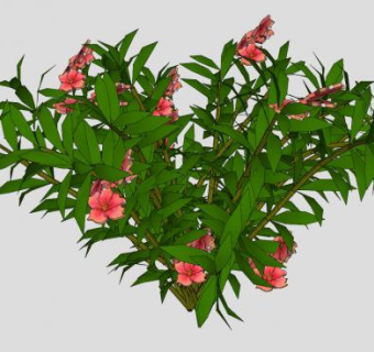 龙船花灌木植物SU模型下载_sketchup草图大师SKP模型