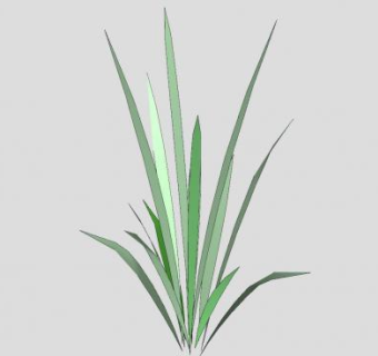 桔梗兰叶植物SU模型下载_sketchup草图大师SKP模型