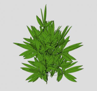 直立草本大麻SU模型下载_sketchup草图大师SKP模型