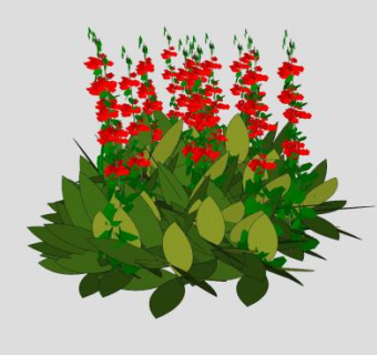 红色鼠尾草植物SU模型下载_sketchup草图大师SKP模型