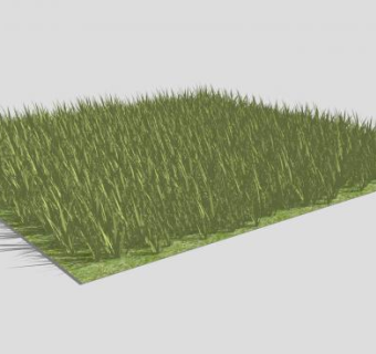 小草草坪SU模型下载_sketchup草图大师SKP模型