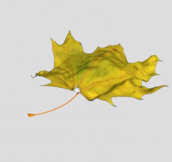 枯黄的枫叶SU模型下载_sketchup草图大师SKP模型