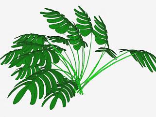 常绿观赏植物SU模型下载_sketchup草图大师SKP模型
