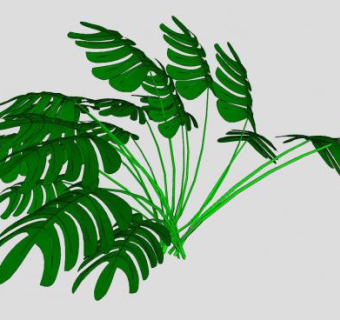 常绿观赏植物SU模型下载_sketchup草图大师SKP模型