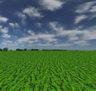 天空穹顶和草原SU模型下载_sketchup草图大师SKP模型