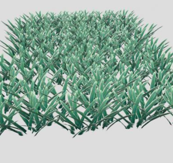 格兰马草植物sketchup模型下载_sketchup草图大师SKP模型