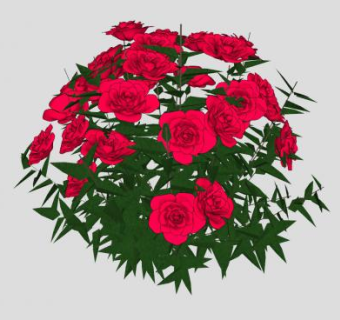 红玫瑰观赏灌木SU模型下载_sketchup草图大师SKP模型